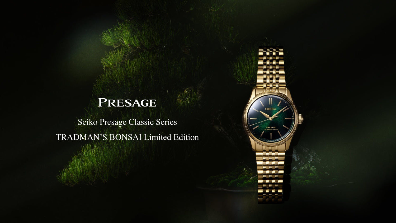 Seiko Presage HCC009 TRADMAN’S BONSAI Limited Edition beside a moonlit black pine bonsai