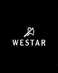 Westar 80013STN104 Men's 42mm Automatic Watch – Blue Dial