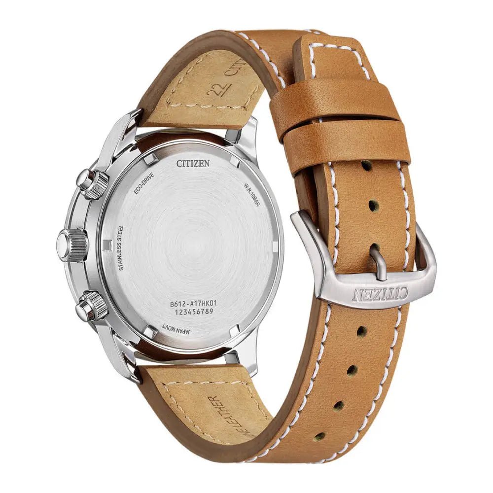 Citizen-Citizen Eco-Drive CA0880-15X Solar-Wristbear-2