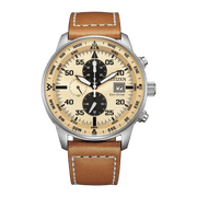 Citizen-Citizen Eco-Drive CA0880-15X Solar-Wristbear-1