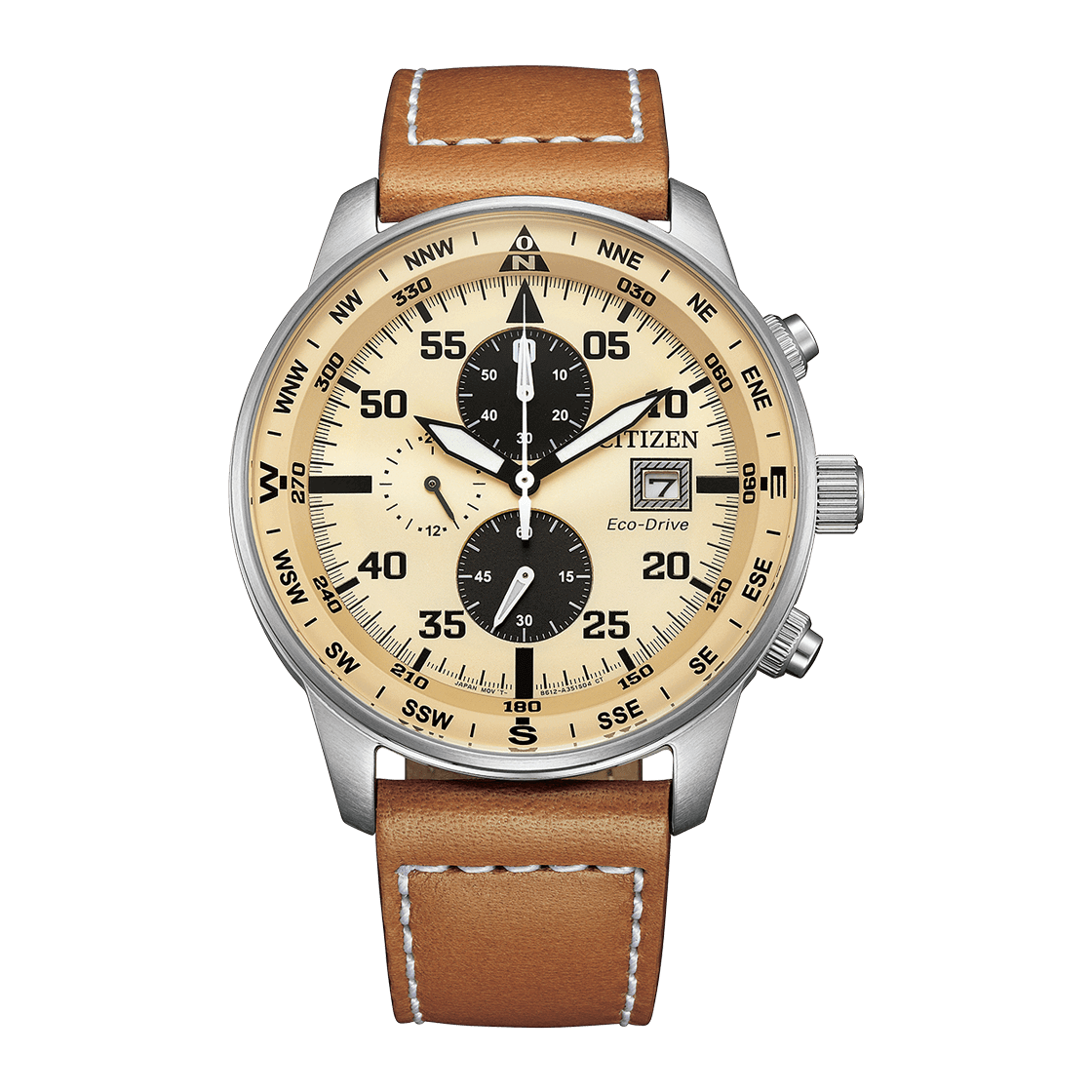 Citizen-Citizen Eco-Drive CA0880-15X Solar-Wristbear-1